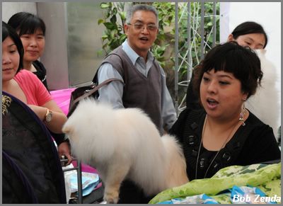 Vivian & her DW Himmy @ Shanghai Show